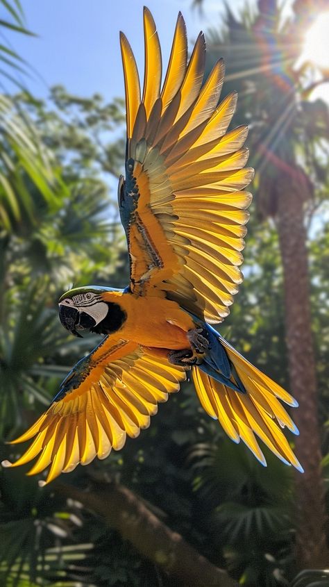 Macaw Parrot Photography, Macaw Flying, Animal Foto, All Animals Photos, Bird Aesthetic, Brazilian Birds, Macaw Art, Animal Close Up, Summer Animals