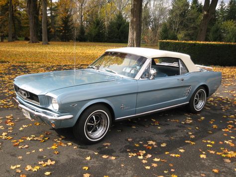 Dream car! Blue Mustang Convertible, Old Blue Car, Blue Ford Mustang, Convertible Mustang, Mustang 1966, Blue Convertible, Blue Mustang, 1966 Mustang, Mustang Car