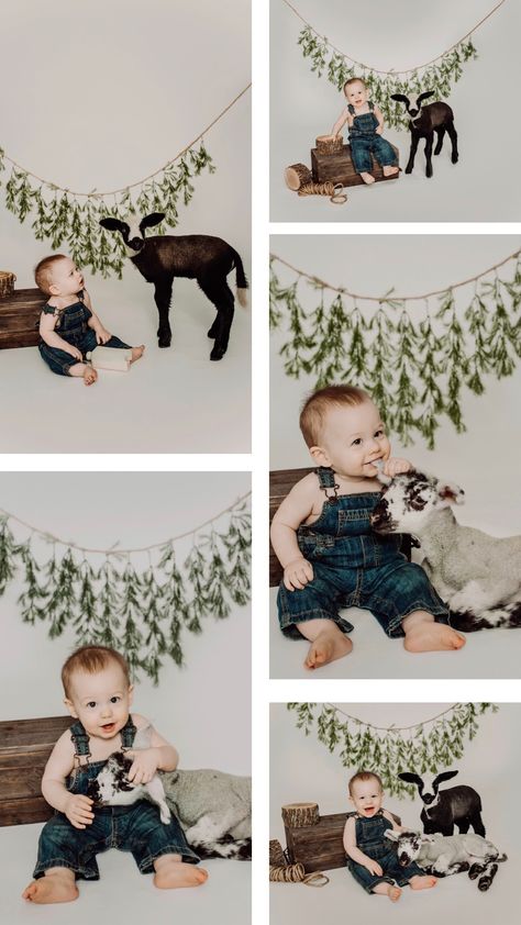 Farm 1 Year Photos, One Year Farm Photoshoot, Farm Animal Photoshoot, One Year Old Farm Photo Shoot, One Year Old Baby Boy Photoshoot, Farm Baby Photoshoot, Country One Year Old Photo Shoot, Farm Theme Photo Shoot, Lamb Photoshoot