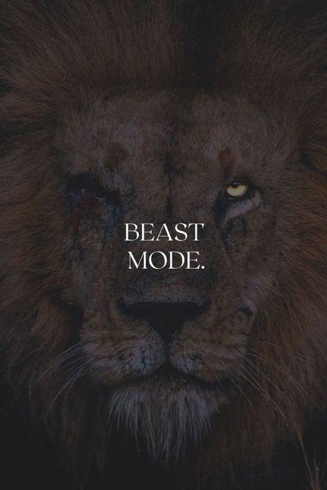 Sigma Motivation Wallpaper, Sigma Mindset Wallpaper, Lion Motivation Wallpaper, Beast Mode On Wallpaper, Morning Motivation Wallpaper, Dark Lion Wallpaper, Beast Mode Wallpapers, Motivational Wallpaper Men, Mindset Wallpaper Iphone