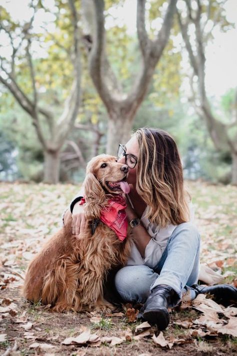 Family Pet Photography, Dog Photography Poses, Dog Christmas Pictures, Dogs Pictures, Photos With Dog, Dog Photoshoot, Pet Style, Pet Photography, Foto Poses