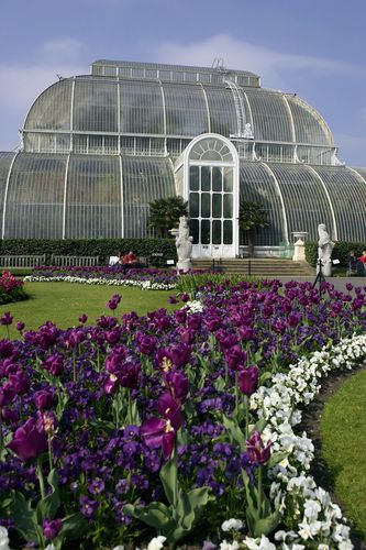 Kew Gardens, England    http://www.planetware.com/picture/london-kew-gardens-royal-botanic-gardens-eng-lnkewgdn.htm Pictures Of England, Kew Gardens London, Glass Greenhouse, England Travel Guide, Royal Botanic Gardens, Gardens Of The World, Famous Gardens, Living In London, London Pictures