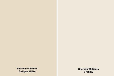 Sherwin Williams Antique White is a warm, creamy paint color that's perfect for a more traditional home. Is it the right paint color for you? Read this paint color review to find out! Creamy Satin Sherwin Williams, Cream Paint For Bedroom, White Cream Walls, Cream Color Swatch, Cream Sherwin Williams Paint, Butter Paint Color, Off White Wall Color, Warm White Paint Colors Sherwin Williams, Sherwin Williams Swiss Coffee