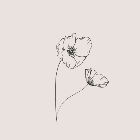 Poppy Flower Drawing, Simple Flower Drawing, Arte Doodle, Poppy Drawing, Poppies Tattoo, Simple Line Drawings, Floral Drawing, Flower Doodles, Line Illustration