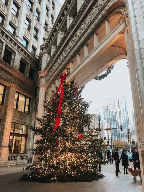 5 Must-See Christmas Trees in Downtown Chicago | It’s Megan | #travel #christmas #chicago #christmastrees Christmas In Chicago Aesthetic, Locations Wallpaper, Chicago Christmas Aesthetic, Chicago Christmas Tree, Christmas Chicago, Lux Christmas, Christmas In Chicago, Chicago Christmas, Eid Hampers