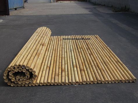 bamboo fence panels, wholesale bamboo fencing, buy bamboo fencing, split bamboo fencing,bamboo fences,bamboo garden fence,bamboo privacy fencing, bamboo fences,bamboo roll fencing Screen Fencing, Bamboo Garden Fences, Rolled Fencing, Balcony Apartment, Bamboo Fencing, Privacy Fencing, Picket Fence Panels, Bamboo Privacy, Balcony Privacy