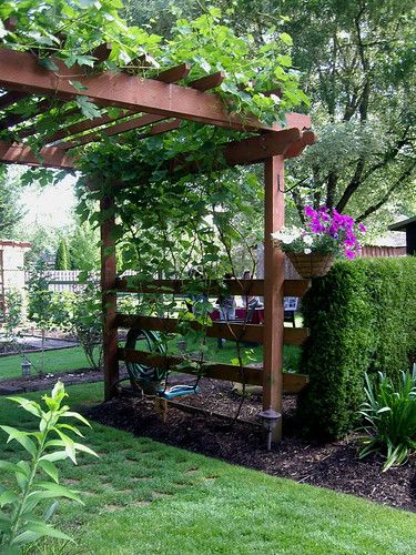 Backyard Getaway, Grill Station, Pergola Garden, Garden Vines, Cottage Garden Design, Backyard Landscape, Garden Arbor, Garden Area, Backyard Pergola