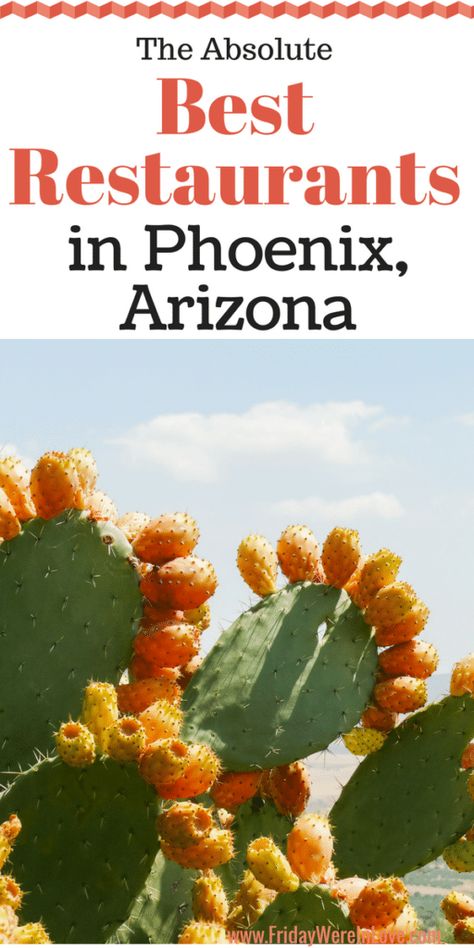 The Best Restaurants in Phoenix Arizona- a complete guide of the best food in Phoenix that locals adore! #phoenix #foodie Phoenix Arizona Restaurants, Things To Do In Arizona, Phoenix Vacation, Arizona Food, Arizona Summer, Phoenix Restaurants, Goodyear Arizona, Arizona Restaurants, Arizona Trip