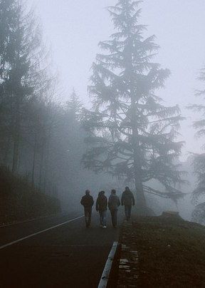 Counselor Aesthetic, Abandoned Highway, Pink In The Night, Dystopian Aesthetic, Apocalypse Aesthetic, Midwest Emo, Dystopian Books, Camp Counselor, Goblet Of Fire