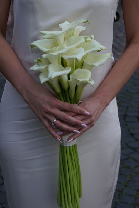 Proposal/ Ring and flowers Calalilly Ring, Calla Lily Hand Bouquet, Hand Bouquet Wedding Calla Lily, Calla Lily Single Bouquet, Single Calla Lily Bridesmaid, Lemon Wedding, Calla Lily Wedding, Lily Wedding, Hand Bouquet