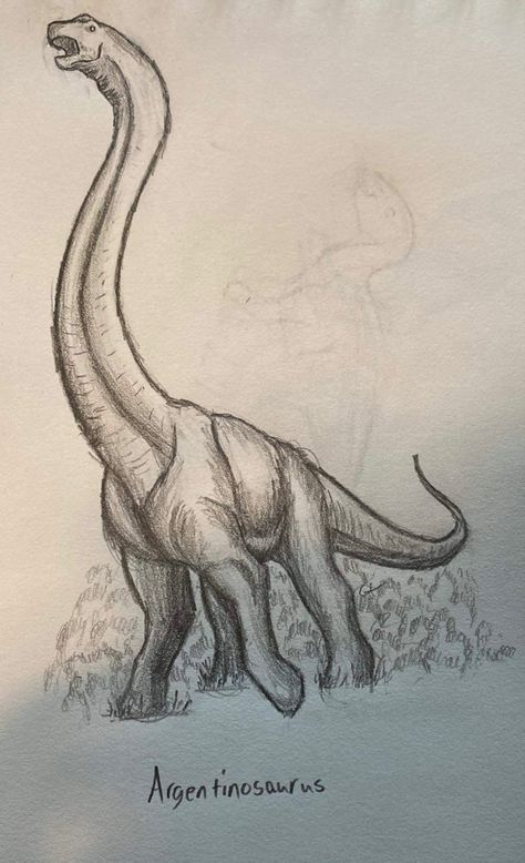 Realistic Dinosaur Drawing, Dinousar Drawing, Drawing Ideas Dinosaurs, Dinosaur Sketch Realistic, Dinosaur Sketch Easy, Dinosaurus Drawing, Brontosaurus Drawing, How To Draw A Dinosaur, Dinosaur Drawing Sketch