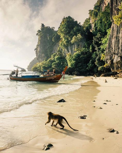 🌴Monkey Island, Thailand 💙 Krabi Thailand, Ancient City, Krabi, Future Travel, Beautiful Places In The World, Thailand Travel, Asia Travel, Phuket, Most Beautiful Places