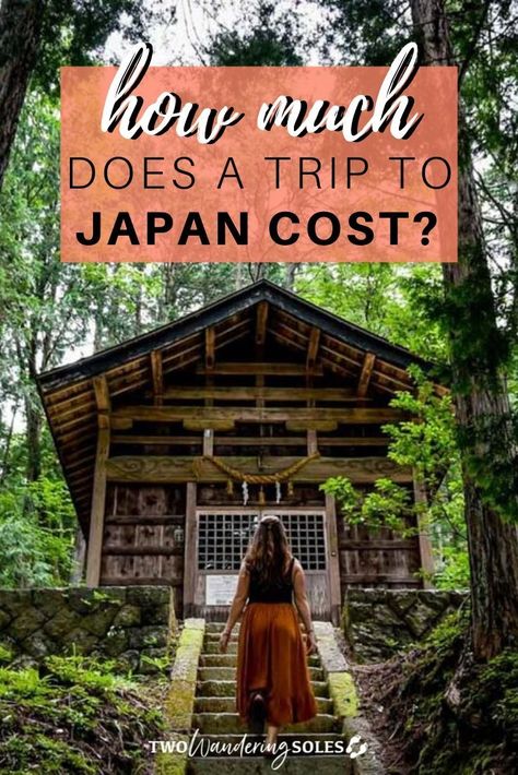 Facts About Japan, Japan On A Budget, Travel In Japan, Merle Australian Shepherd, Win The Lottery, Japanese Travel, About Japan, Japan Vacation, Japan Travel Tips