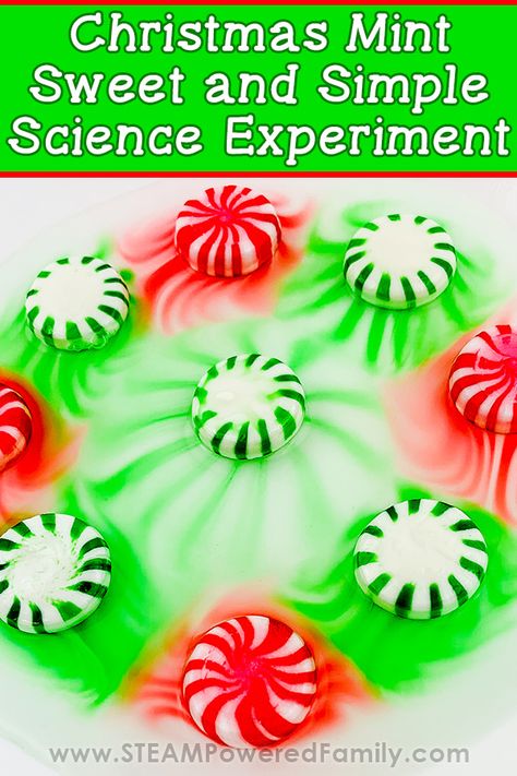 Science Christmas Activities Preschool, Prek Christmas Science Experiments, Preschool Christmas Experiments, Easy Christmas Experiments For Kids, Fun Christmas Science Experiments, Christmas Theme Science Experiments, Kids Christmas Science Experiments, Christmas Science Experiments For Preschool, Christmas Preschool Science Experiments