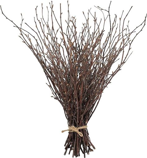 Amazon.com: Uieke Vases Wedding, Vase With Branches, Home Wreath, Dried Plants, Dried Lavender Flowers, Birch Branches, Twig Wreath, Succulent Gardening, Dry Plants