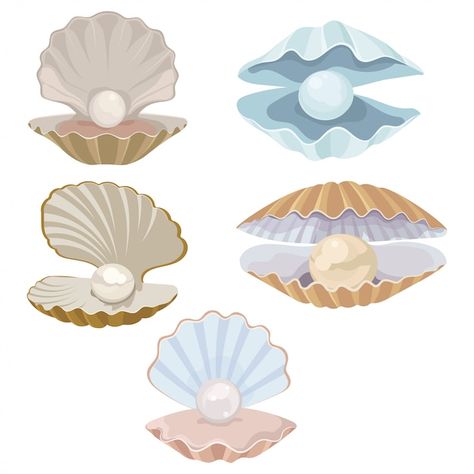 Clam Illustration, Seashell Illustration, Pearl Seashell, Shell Drawing, Shell Tattoos, Underwater Art, Illustration Cartoon, Art Classes, Design Illustration