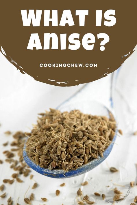 Ever wondered what is anise and what it’s used for? Learn everything about this ancient spice, from its humble beginning to its best storage method! Recipes With Anise, Anise Cookies, Seed Cookies, Italian Meals, Anise Seed, Classic French Dishes, African Recipes, Cooking 101, French Dishes