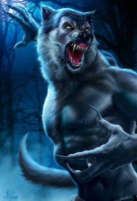 Awesome awesome werewolf pic Creature Fantasy, Man Beast, Tom Wood, Werewolf Art, Vampires And Werewolves, 다크 판타지, Scary Halloween Decorations, Creatures Of The Night, Spooky Scary