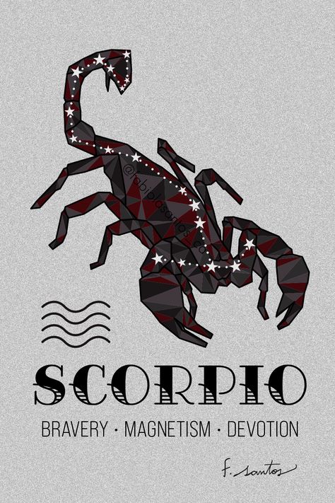 Scorpio Sign Symbol, Scorpio Zodiac Signs, Signs Constellation, Zodiac Sign Personality, Scorpions Zodiac, Scorpio Symbol, Scorpio Art, Scorpio And Libra, Zodiac Signs Symbols