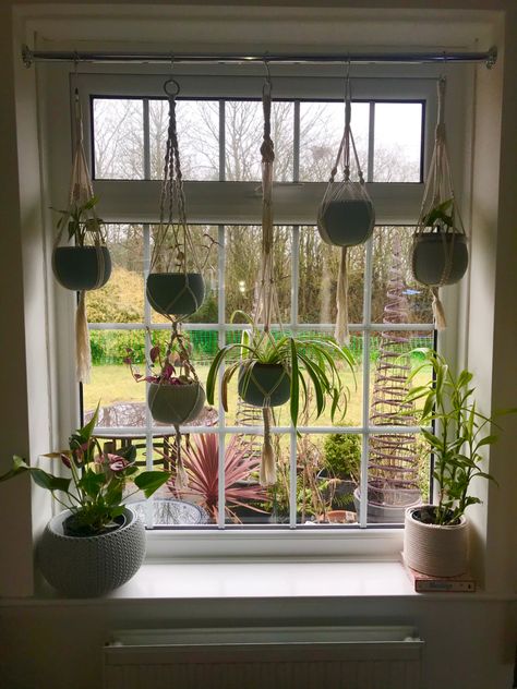 Macrame Plant hangers displayed in window recess Macrame Plant Hanger In Window, House Plant Window Display, Plant Hanger Window Display, Plant Hanger For Window, Plant Display Indoor Window, Plant Window Hanger, Hanging Window Display, Hanging Plant Window Display, Plants Around Window