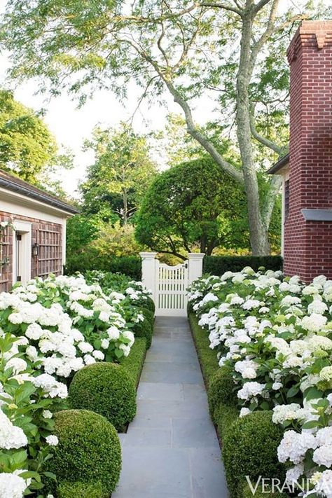 Slide 14: Dreamy Hydrangeas Hydrangea Landscaping, Hydrangea Garden, Formal Garden, Landscape Designs, Have Inspiration, Formal Gardens, White Gardens, Gorgeous Gardens, Garden Cottage