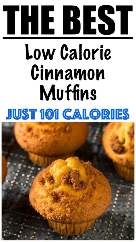 Low Carb Apple Cinnamon Muffins, Low Calorie Applesauce Muffins, Low Calorie Cinnamon Recipes, Low Calorie Cinnamon Desserts, Low Calorie Oat Muffins, Low Calorie Breakfast Bread Recipes, Low Carb Cinnamon Bread, Low Calorie Chocolate Chip Muffins, 100 Calorie Muffins