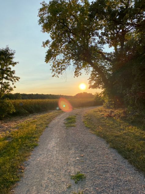 Sunset over fields, trees, summer, warm sun Sunset Feild Pic, Open Field Aesthetic, Pretty Fields, House In Field, Sunset In A Field, House In A Field, Field With Trees, Country Fields, Sunny Field