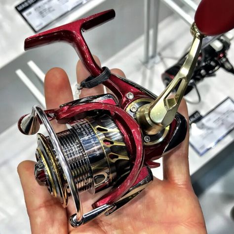 Trophy Fish, Light Games, Spinning Reels, Fishing Tools, Fishing Reels, Fishing Gear, Spinning, Fish