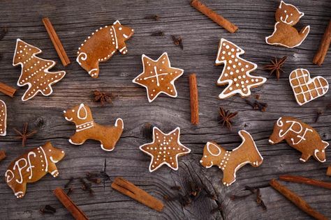 Can Dogs Eat Gingerbread? | Cuteness Gingerbread Dog, Toxic To Dogs, Gingerbread Cookies Decorated, Decorative Plants, Winter Treats, Dog Cookies, Dog Info, Christmas Cookies Decorated, Festive Treats