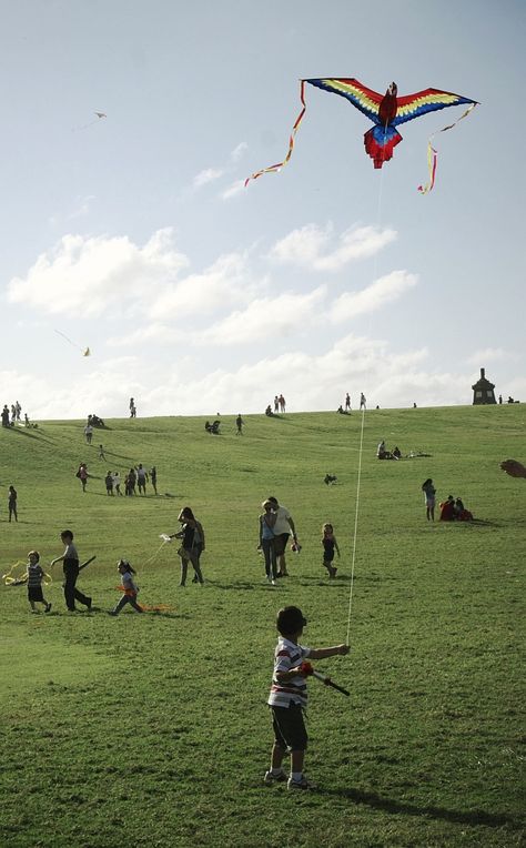 Flying Parrot, Flying Photography, Kites For Kids, Date Ideas For New Couples, Fly A Kite, The Kite Runner, Go Fly A Kite, Birthday Activities, Old San Juan