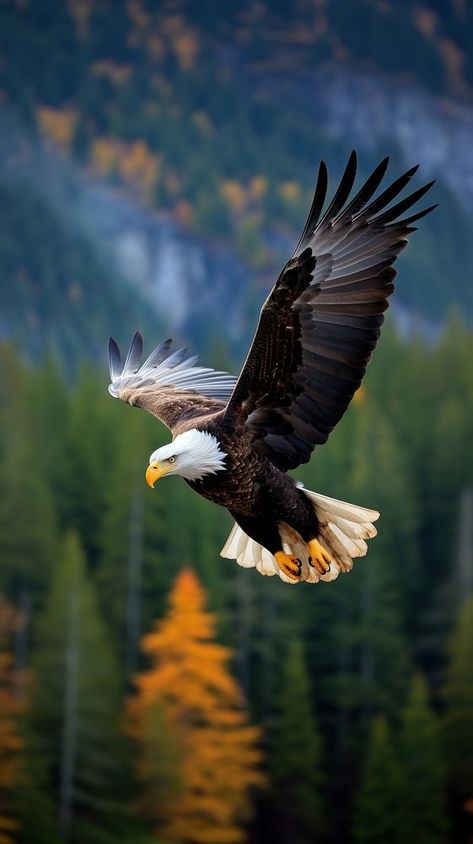 Eagle flying wildlife animal nature. | premium image by rawpixel.com / Ake Image Of Nature, Nature Wallpaper Animals, Eagle Profile Picture, Eagle Reference Photo, Animal Wildlife Photography, Animal Nature Wallpaper, Eagle In Flight Photography, Bald Eagle Aesthetic, Flying Eagle Wallpaper