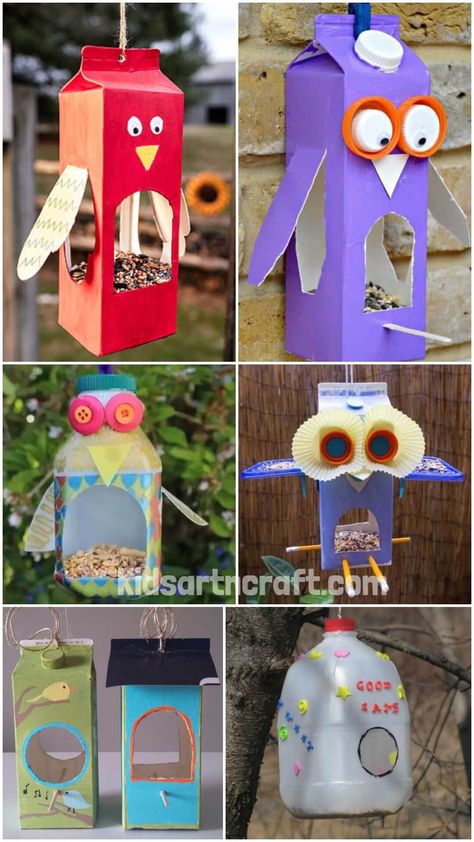 Best bird feeders