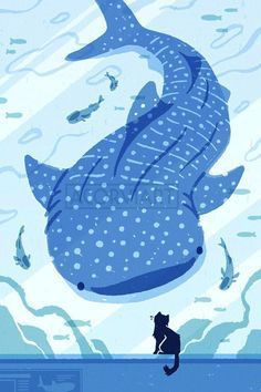 To The Unknown, Shark Pictures, Shark Drawing, Shark Art, Procreate Brushes Free, Cute Whales, Cute Shark, The Whale, Whale Shark