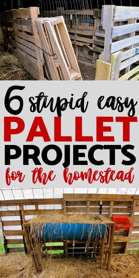 6 Quick and Easy Pallet Projects for the Homestead Easy Pallet Projects, Diy Pallet Decoration, Pallet Craft, Pallet Decoration Ideas, Pallet Building, Pallet Projects Garden, Modern Homestead, Diy Wood Pallet Projects, Urban Homestead