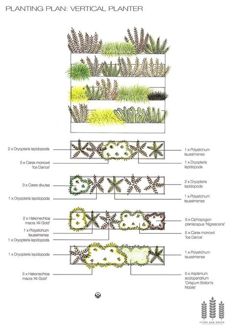 Residential Garden Design, Residential Garden, Plan And Elevation, Food Forest Garden, Space Garden, Landscape Design Drawings, Garden Clipart, Landscape Architecture Drawing, Planting Design