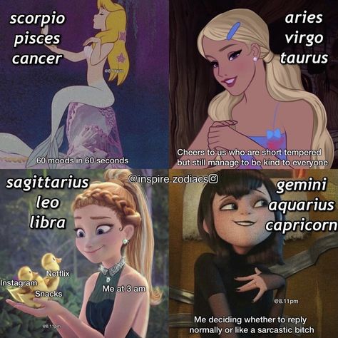 Zodiac Signs Funny Capricorn, Zodiac Signs Capricorn And Gemini, Relatable Zodiac Signs, Anime Zodiac Aquarius, Zodiac Stuff Funny, Libra Zodiac Facts Funny, Funny Zodiac Signs Pictures, Random Zodiac Facts, Zodiac Signs As Things Funny