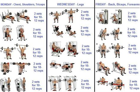 8 Weeks Workout Programme For Beginners - GymGuider.com Workout Programme, Week Routine, Weekly Gym Workouts, Study Info, Gym Program, Fitness Studio Training, Gym For Beginners, Workout Hiit, Sixpack Workout