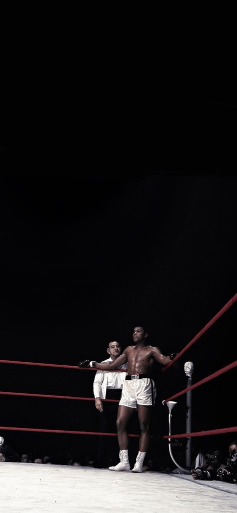 Mohammad Ali Wallpaper, Boxing Wallpaper, Stussy Wallpaper, Blood Wallpaper, Mohammad Ali, Jiu Jitsu Techniques, Boxing Images, Fitness Wallpaper, Boxing Posters