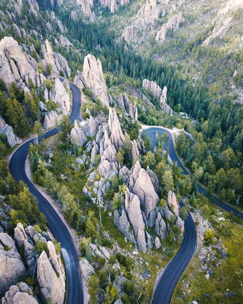 The Lakota first called the mountains that rumple South Dakota paha sapa, or black hills, because of the way pines darken their forms from a distance. This aerial shot of the Needles Highway in Custer State Park shows the area from a remarkable perspective. Custer State Park South Dakota, Needles Highway, South Dakota Road Trip, South Dakota Vacation, South Dakota Travel, Black Hills South Dakota, Newborn Animals, Mountain Goats, Custer State Park