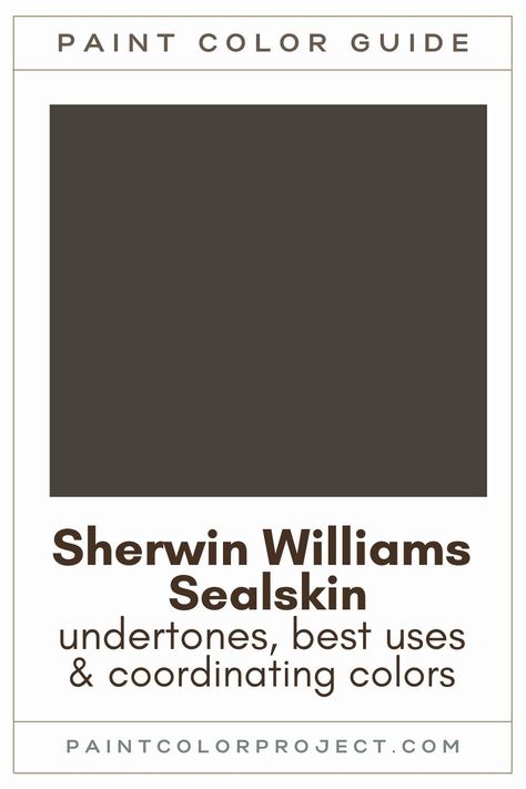 Looking for the perfect deep brown paint color? Let’s talk about Sherwin Williams Sealskin and if it might be perfect for your home! Dark Paint Colors Bedroom, Black With Brown Undertones Paint, Best Brown Black Paint Color, Darkest Brown Paint Color, Seal Skin Paint Color, Sherwin Williams Black Brown Paint, Dark Brown Gray Paint Colors, Sherwin Williams Foothills Paint, Sherwin Williams Sealskin Color Palettes