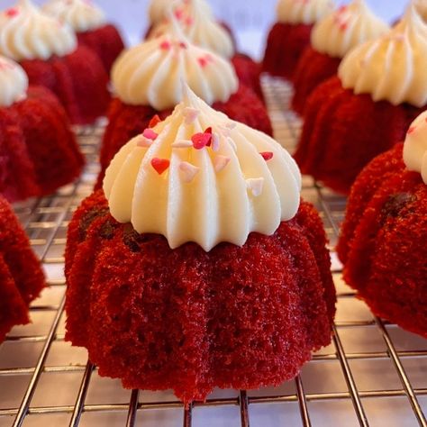 Perfect Red Velvet Cake Recipe, Cakes With Cream Cheese Frosting, Cakes With Cream Cheese, Mini Bunt Cake, Red Velvet Cakes, Red Velvet Bundt, Mini Bundt Cakes Recipes, Red Velvet Bundt Cake, Velvet Cakes