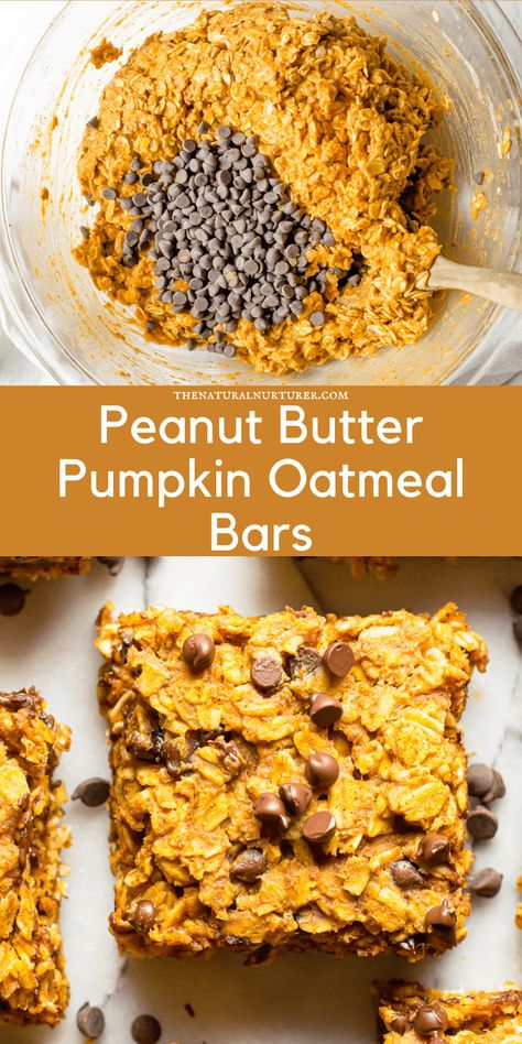 These Peanut Butter Pumpkin Oatmeal Bars are the perfect snack or fun treat! Full of fiber from oats and pumpkin, healthy fats from peanut butter, and perfectly sweetened with a little brown sugar + chocolate chips. These bars are perfect as part of meal prep, made from pantry staples, and are gluten free and dairy-free. Pumpkin Oatmeal Bars Breakfast, Peanut Butter And Pumpkin, Pumpkin Oatmeal Bars Protein, Breakfast Pumpkin Bars, Baked Pumpkin Oatmeal Bars, Healthy Oatmeal Pumpkin Bars, Peanut Butter Oatmeal Breakfast Bars, Peanut Butter Pumpkin Bars, Oat Pumpkin Bars