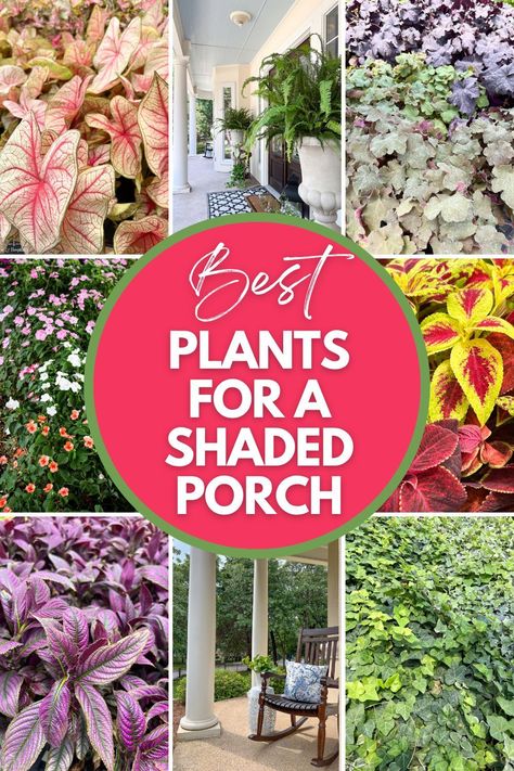 Plants On Deck, Front Porch Planter Ideas, Porch Planter Ideas, Shade Loving Plants, Front Porch Flower Pots, Southern Porch, Country Homestead, Patio Flower Pots, Garden Wall Decoration