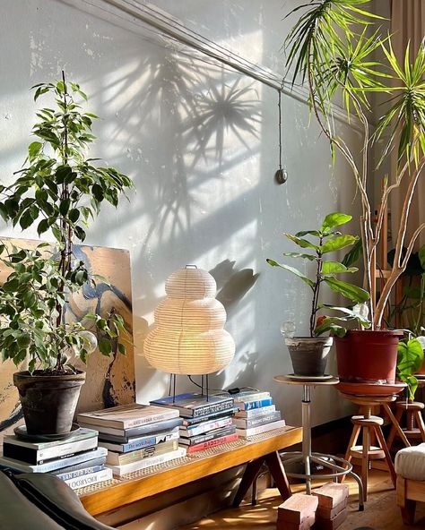 Mid Century Modern Living Room Plants, Plants Studio Apartment, Studio With Plants, Home Office Plants, Akari Lamp, Quirky Interior, Minimalist Lighting Design, Noguchi Akari, Mid Century Modern Plants