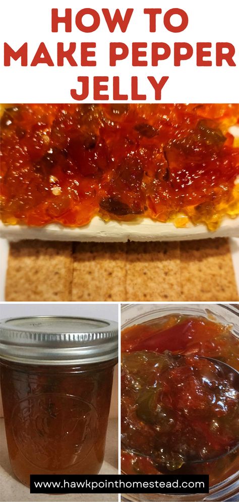 Pepper jelly is one of the greatest jelly recipes This sweet and spicy pepper jelly recipe is an easy recipe and results in such a delightful and delicious jelly. The pepper jelly is so wonderful to serve at any get-together. Pair it with cream cheese and crackers and no one can resist! Also great as a glaze on pork, lamb, beef or chicken!  Pepper jelly also makes a great gift for any occasion. You can also control the spice level and make it super spicy or mild. Thai Pepper Jelly, Sure Jell Pepper Jelly Recipe, Easy Pepper Jelly Recipe No Pectin, Spicy Pepper Jelly Recipe, Hot Pepper Jelly Recipe Cream Cheeses, Mild Pepper Jelly Recipe, Keto Pepper Jelly Recipe, Easy Hot Pepper Jelly Recipe, Christmas Pepper Jelly