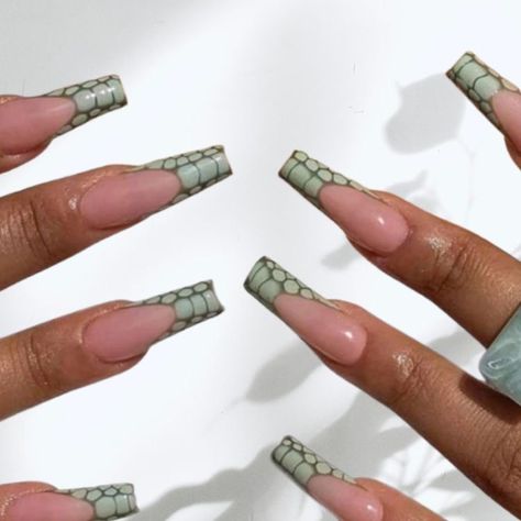 Green Croc Nail Design, Reptile French Tip Nails, Green Alligator Nails, Green Croc Print Nails, Croc Nails French, Green Crocodile Nails, Croc French Nails, Green Croc Nails, Brown Croc Nails