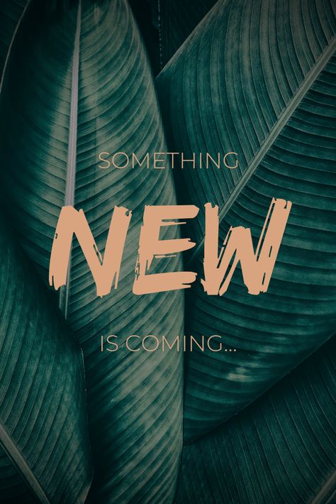 Something New Is Coming, Something New, Coming Soon, Skin, Green