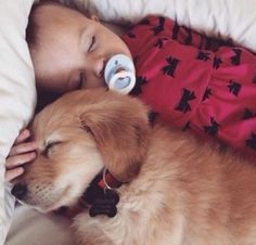 pinterest: chandlerjocleve instagram: chandlercleveland Foto Baby, Naha, Cute Kittens, 귀여운 동물, Mans Best Friend, Baby Fever, Catsuit, Baby Pictures, Puppy Love