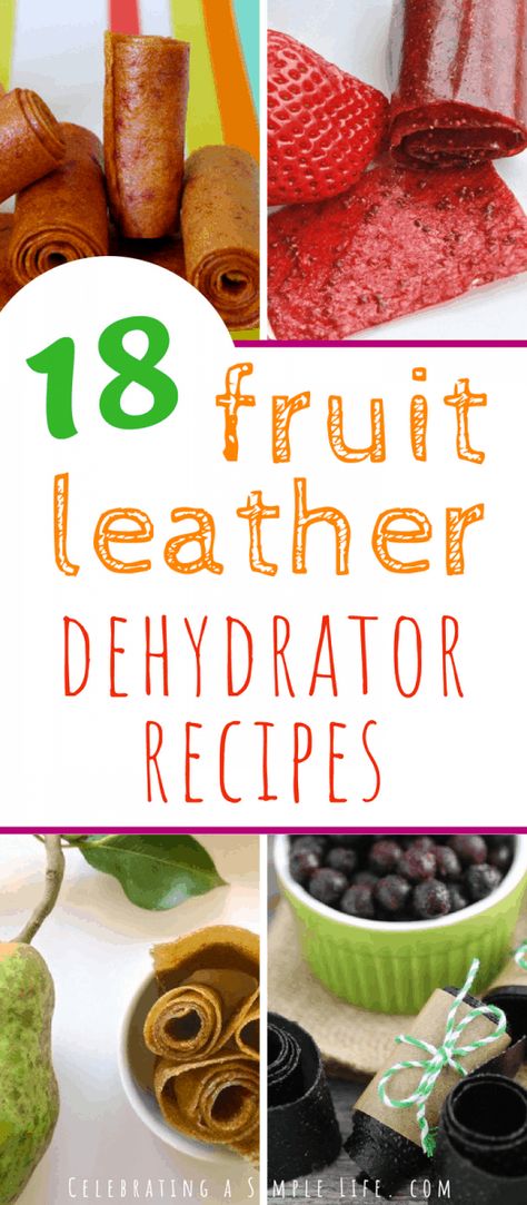 Dehydrated Fruit Leather Recipe, Mango Dehydrator Recipes, Hydrator Recipes, Dehydrator Fruit Leather Recipe, What To Dehydrate, Magic Mill Dehydrator Recipes, Dehydrator Recipes Jerky, Fruit Leather Recipe Dehydrator, Dehydration Recipes