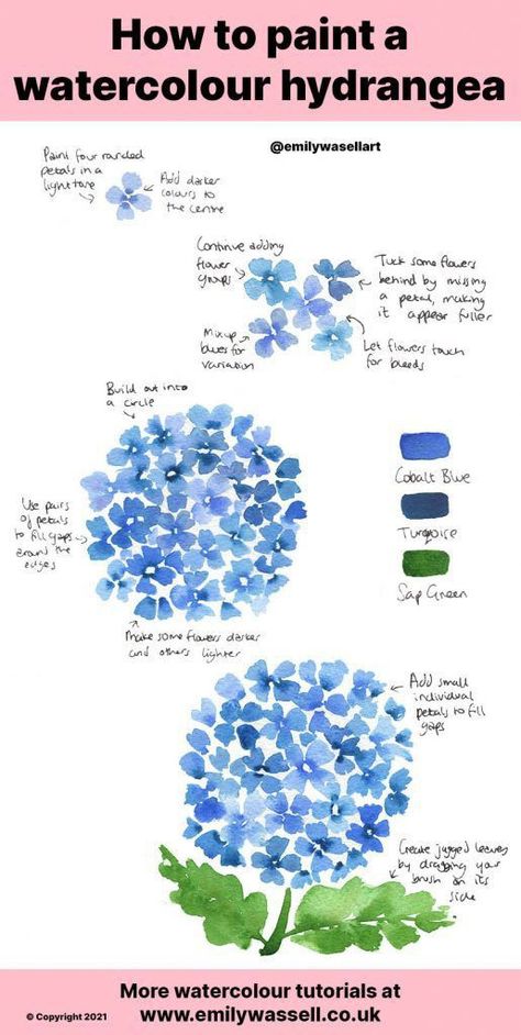 Hydrangeas Painting Easy, Watercolour Hydrangeas How To Paint, Painting Hydrangeas Watercolor, Hydrangea How To Draw, Watercolor Flowers Hydrangea, Watercolor Art Hydrangea, Step By Step Hydrangea Painting, Diy Hydrangea Painting, Hydrangea Drawing Tutorials